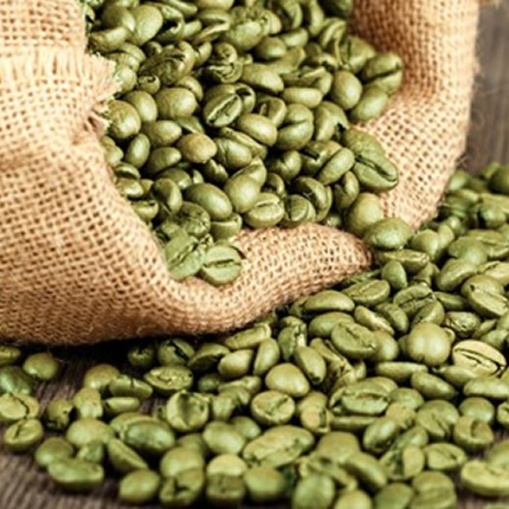 GREEN GOLDEN COFFEE — Ayacucho, Peru