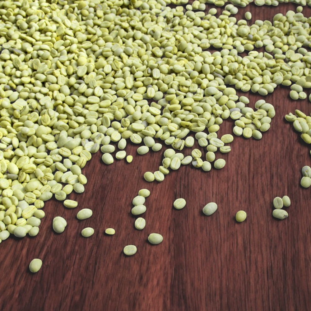 GREEN GOLDEN COFFEE — Ayacucho, Peru 2