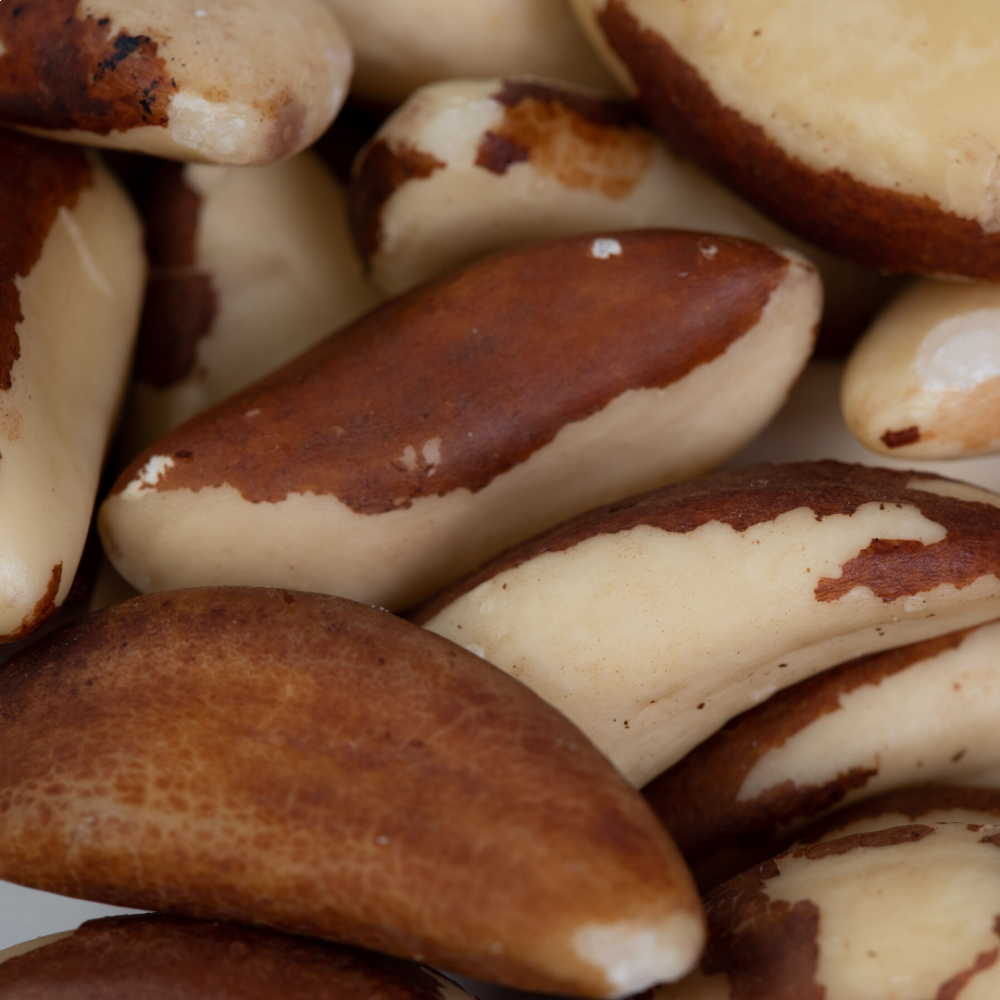 BBRAZIL NUTS TYPE LARGE 44L — MADRE DE DIOS, Peru