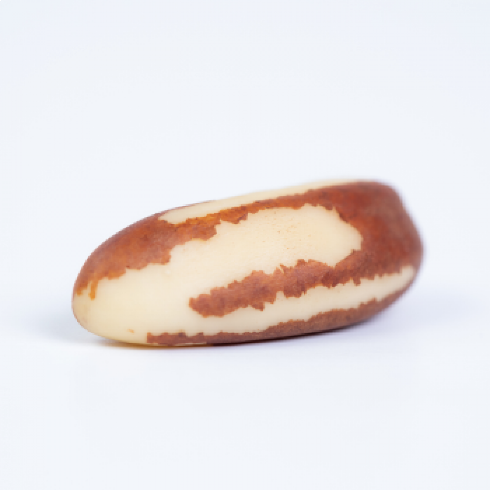 BBRAZIL NUTS TYPE LARGE 44L — MADRE DE DIOS, Peru 2