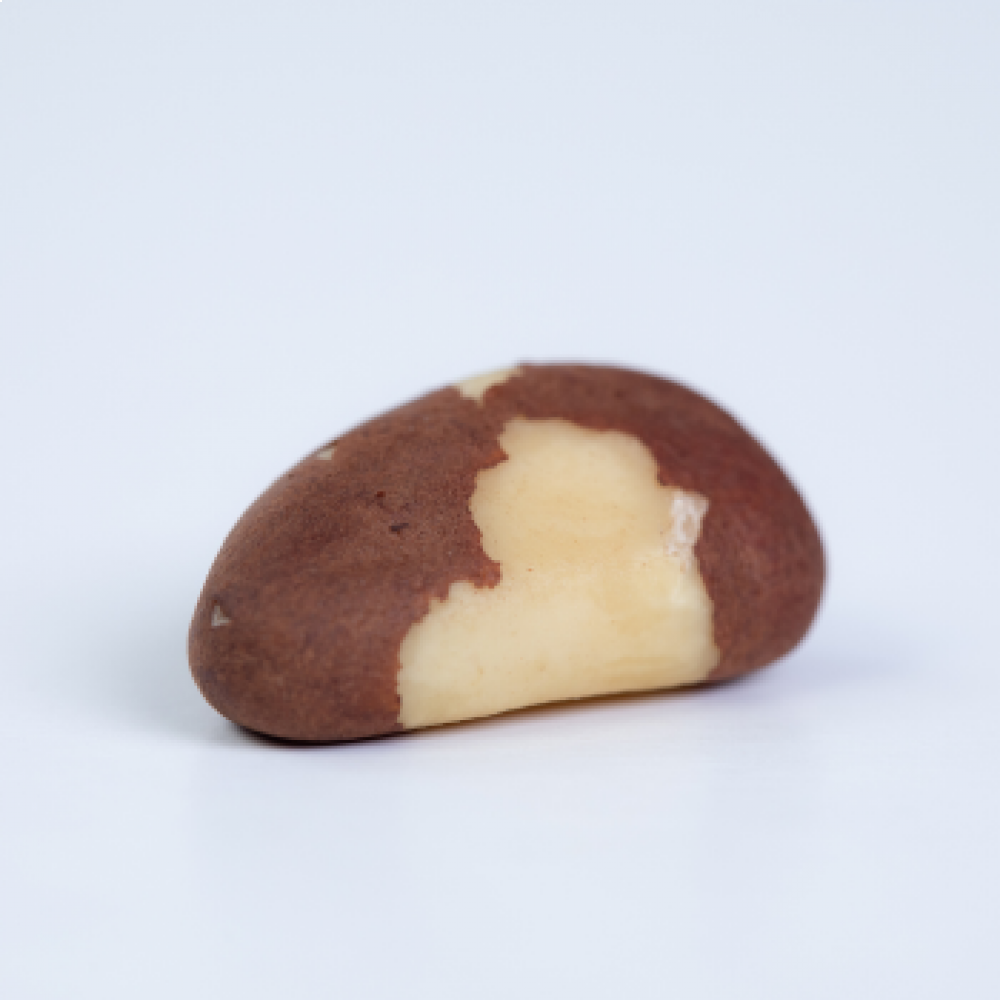 BRAZIL NUTS TYPE MIDGET 44LB — MADRE DE DIOS, Peru 2