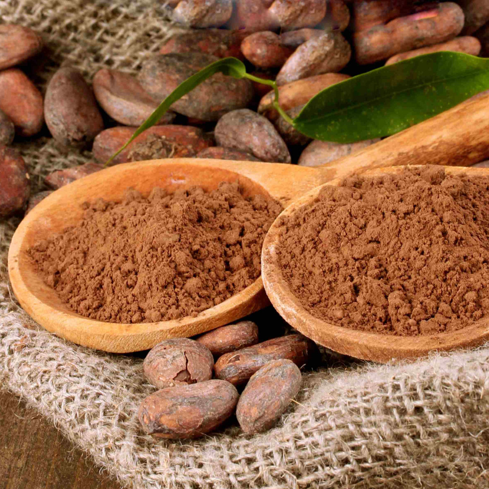organic cacao powder — LIMA, Peru