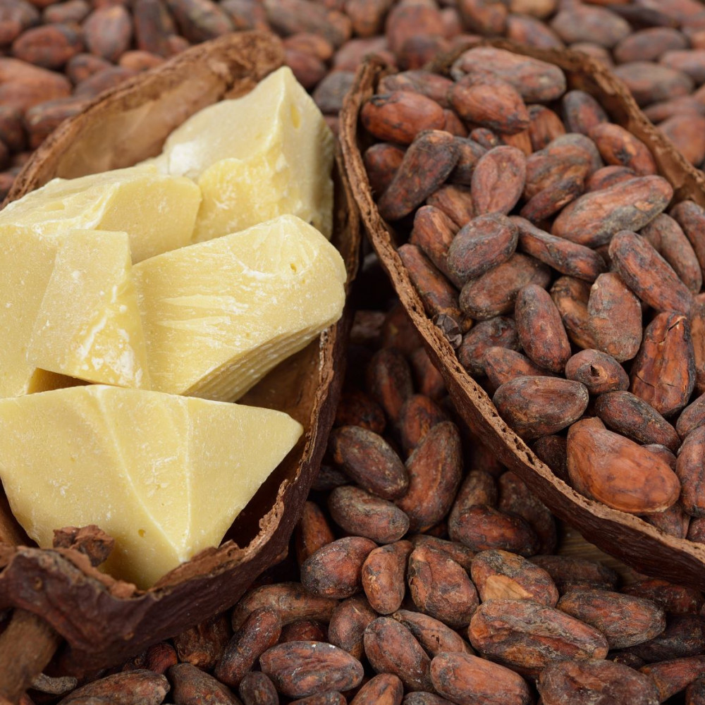 ORGANIC CACAO BUTTER — LIMA, Peru