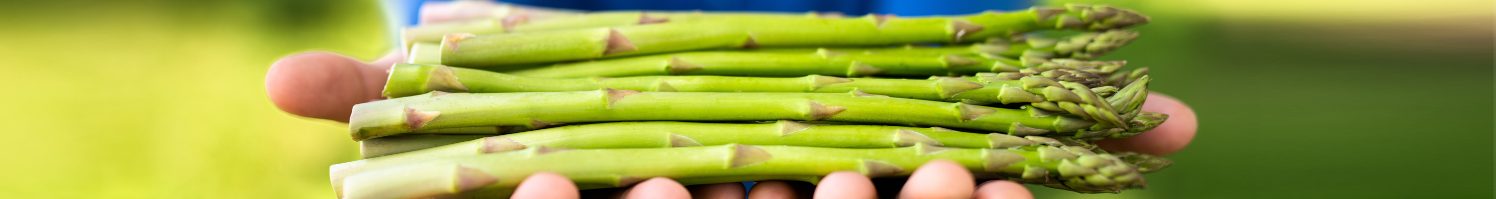 Asparagus
