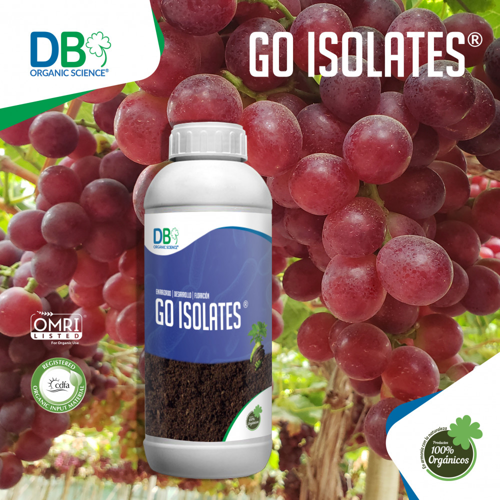 GO ISOLATES® — lima, Peru