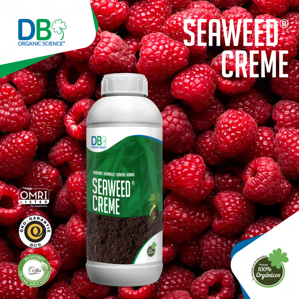 SEAWEED CREME® — lima, Peru