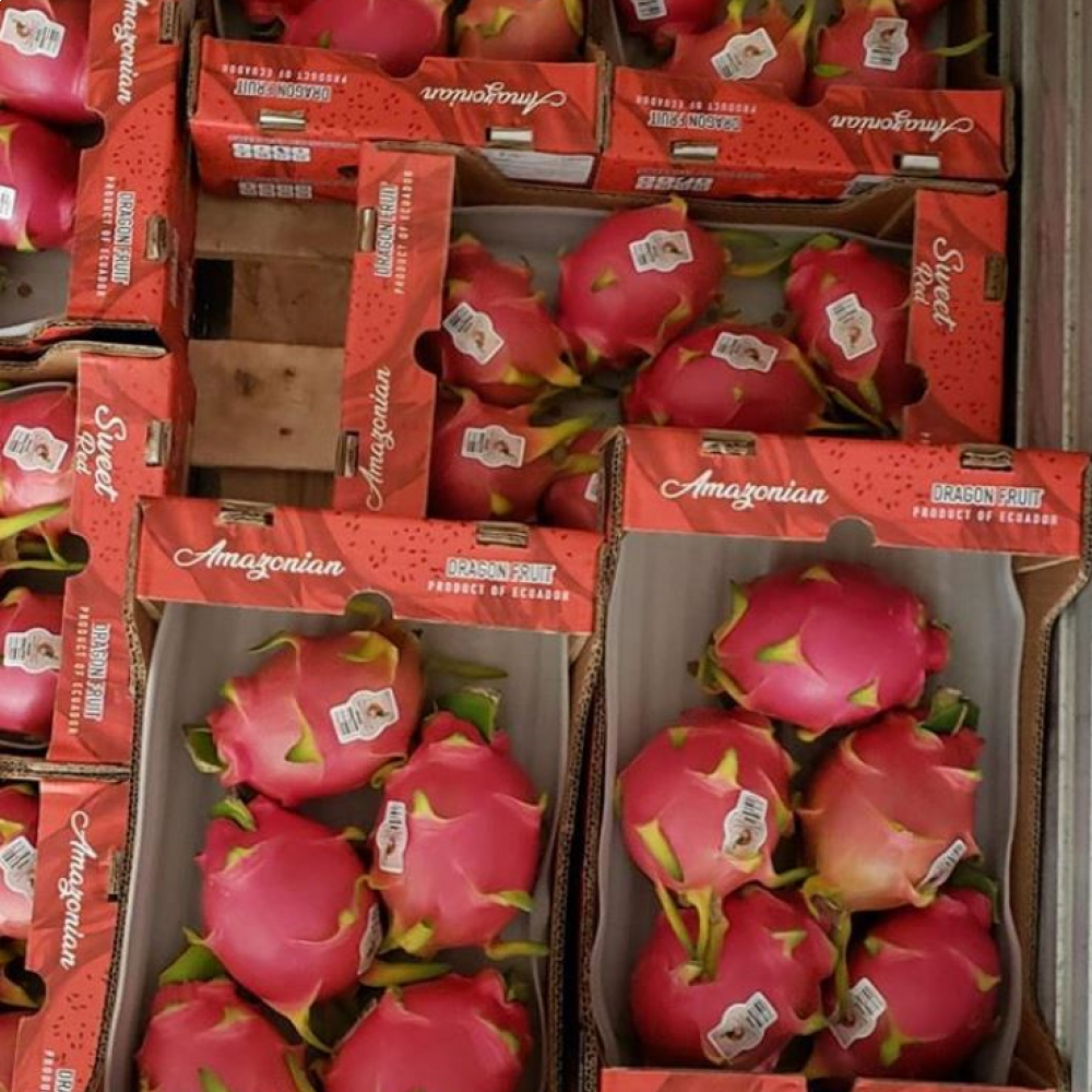 RED DRAGON FRUIT — LIMA, Peru 2