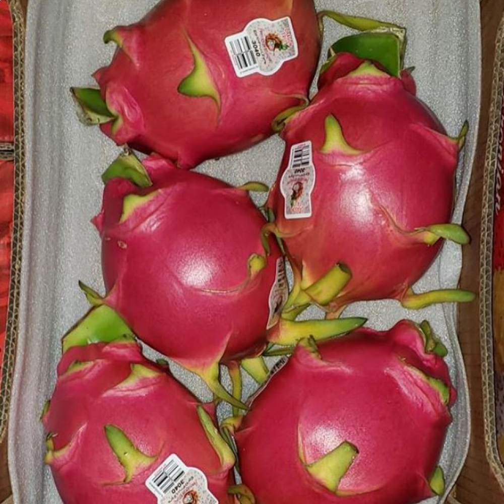 RED DRAGON FRUIT — LIMA, Peru 3