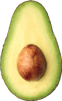 Fresh Avocados