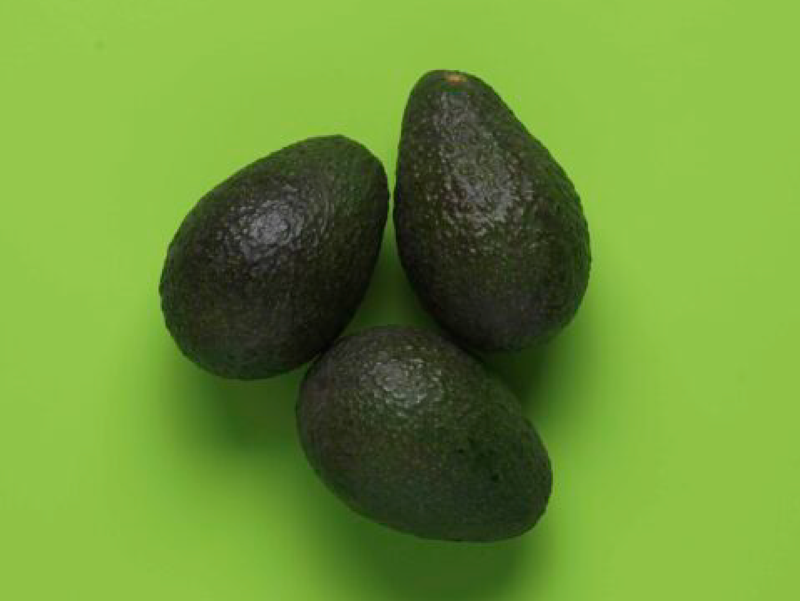 Fresh Avocados 2
