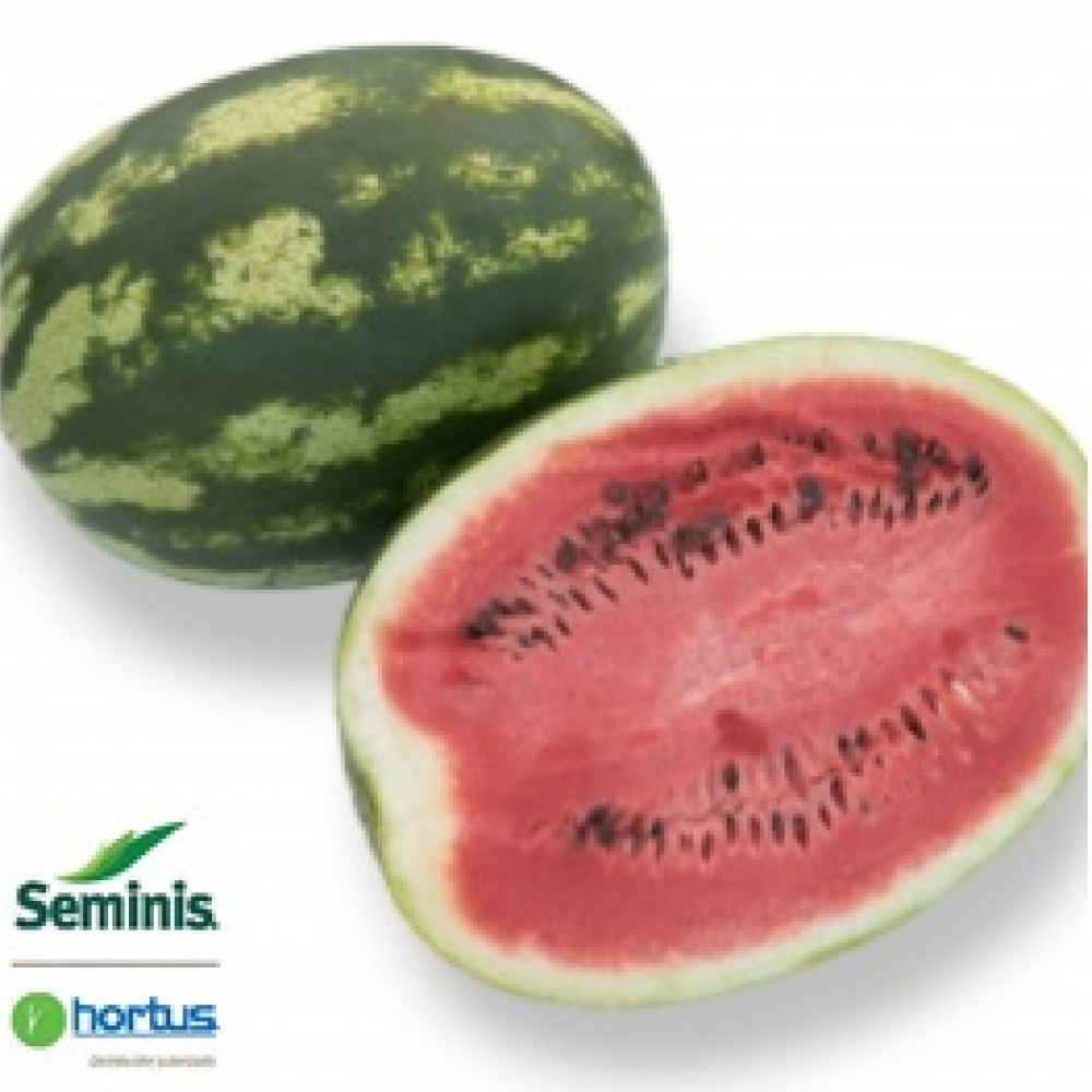 Seeds watermelon Delta — ica, Peru