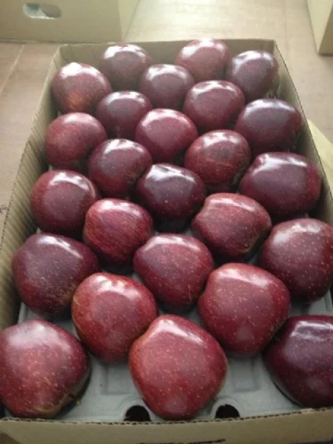 Fresh Apples South Africa 3
