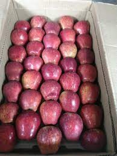 Fresh Apples South Africa 2