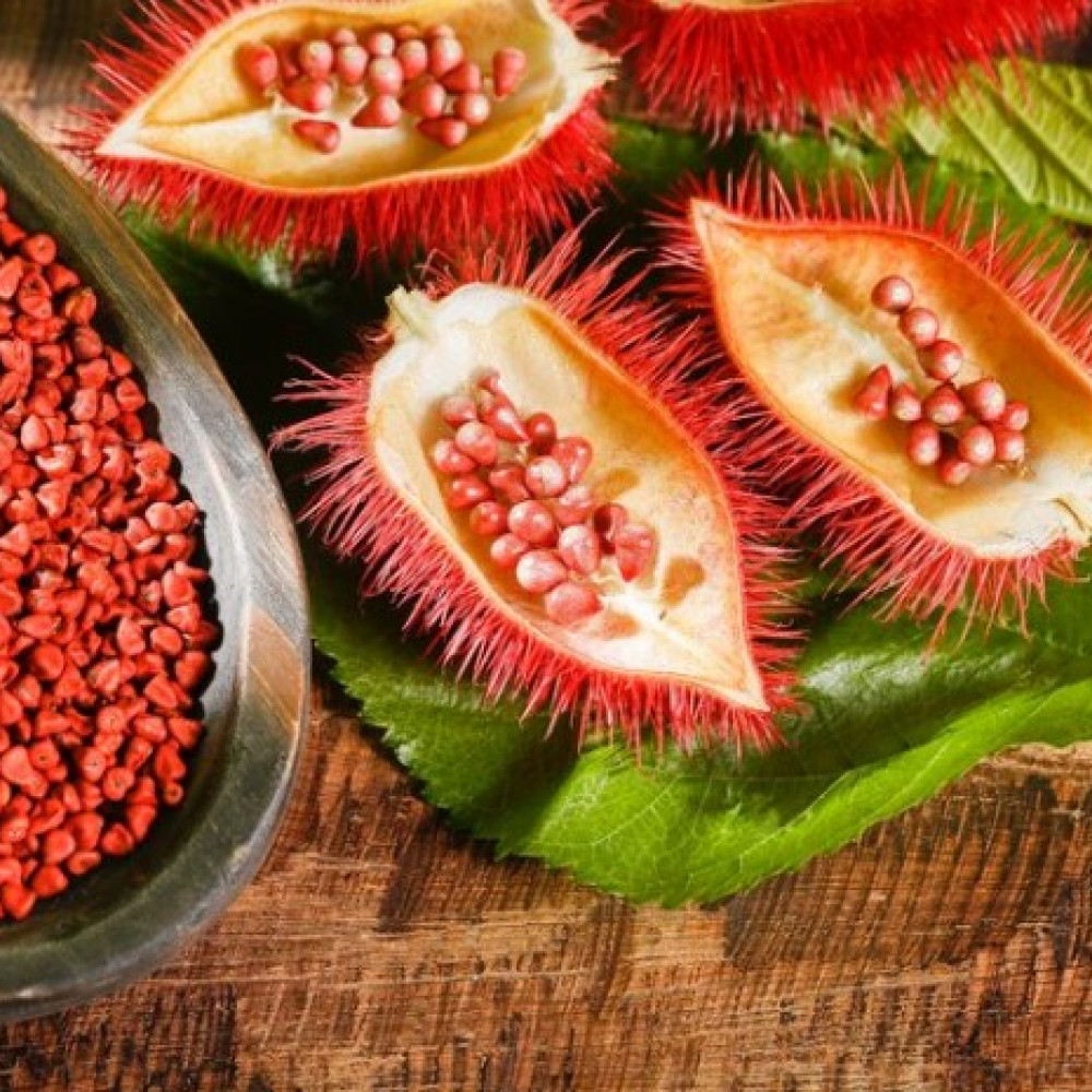 ANNATTO — LIMA, Peru