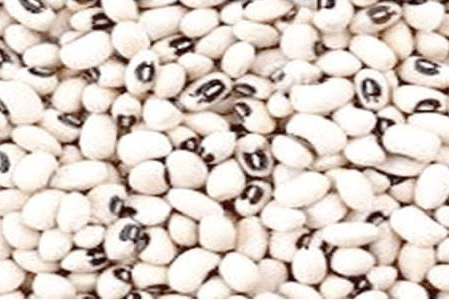 Fresh Broad Bean — Bin Yauri, Nigeria