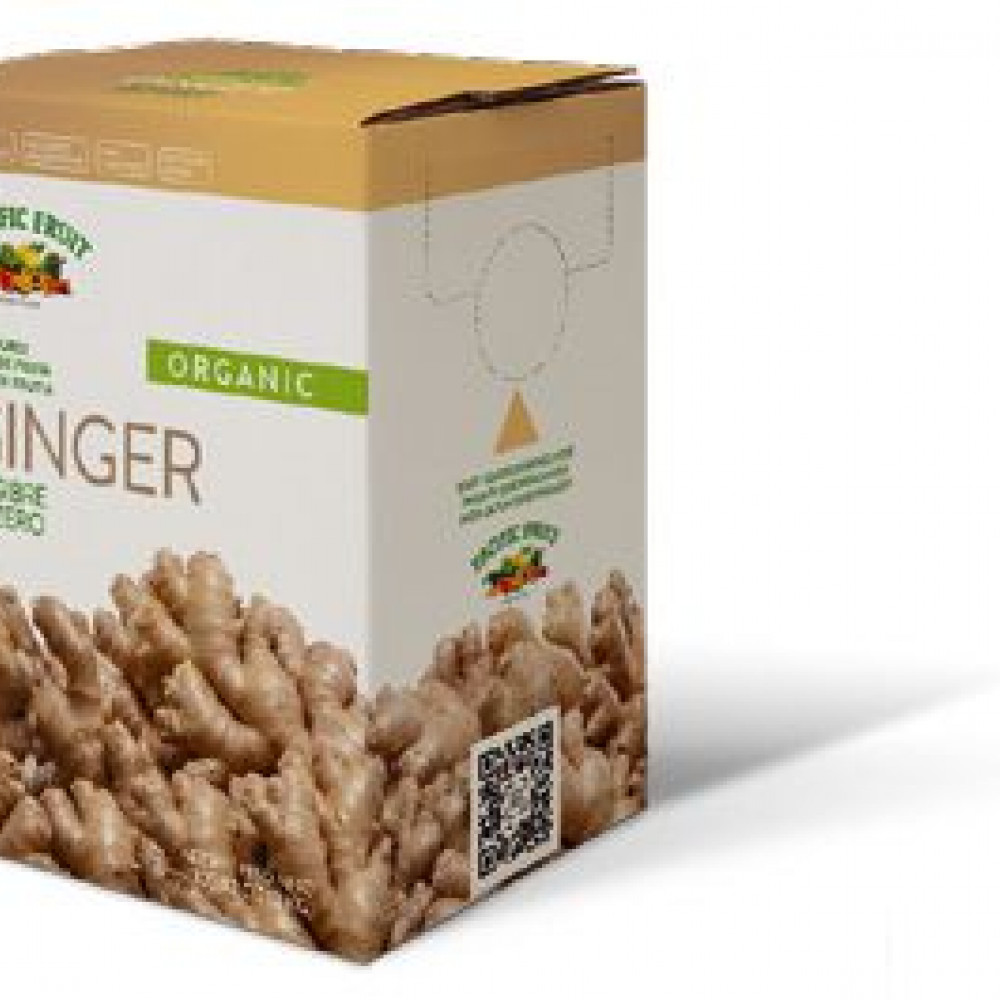 aseptic organic ginger juice nfc — LIMA, Peru — Fruit & Vegetables lot from LIMA, Peru
