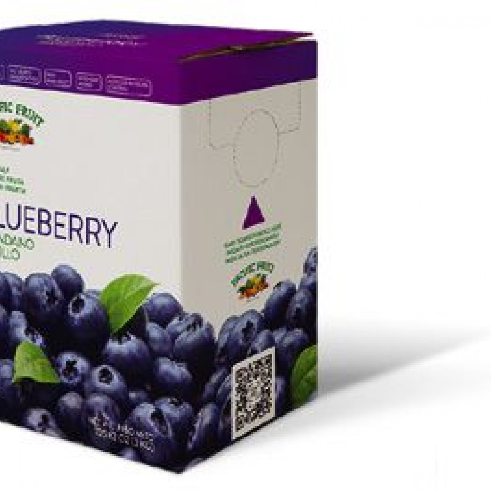 ASEPTIC BLUEBERRY pulp NFC — LIMA, Peru