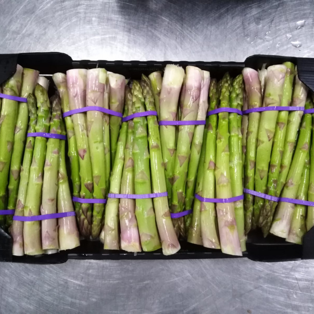 FRESH GREEN ASPARAGUS 3.3Kg BOXES — Trujillo, Peru 3