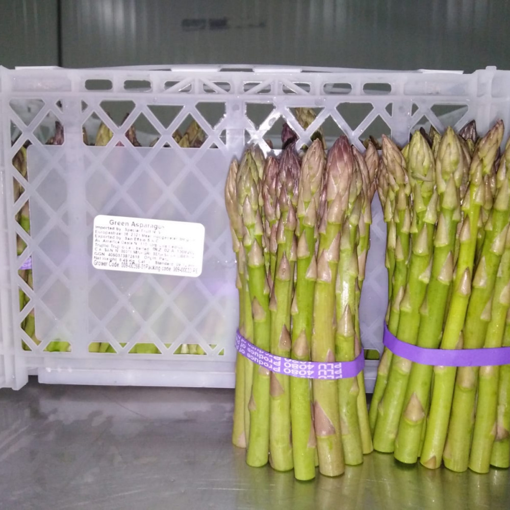 FRESH GREEN ASPARAGUS TIP — Trujillo, Peru — Fruit & Vegetables lot from Trujillo, Peru