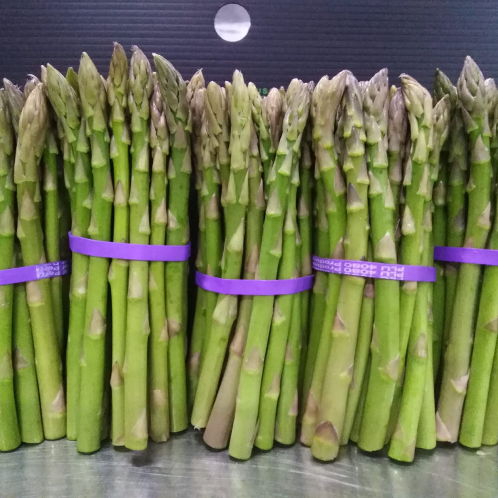 FRESH GREEN ASPARAGUS FINE — Trujillo, Peru — Fruit & Vegetables lot from Trujillo, Peru
