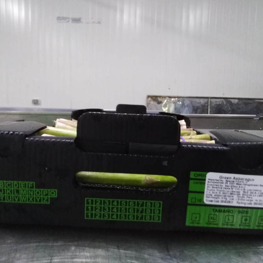 FRESH GREEN ASPARAGUS 3.3Kg BOXES — Trujillo, Peru 2