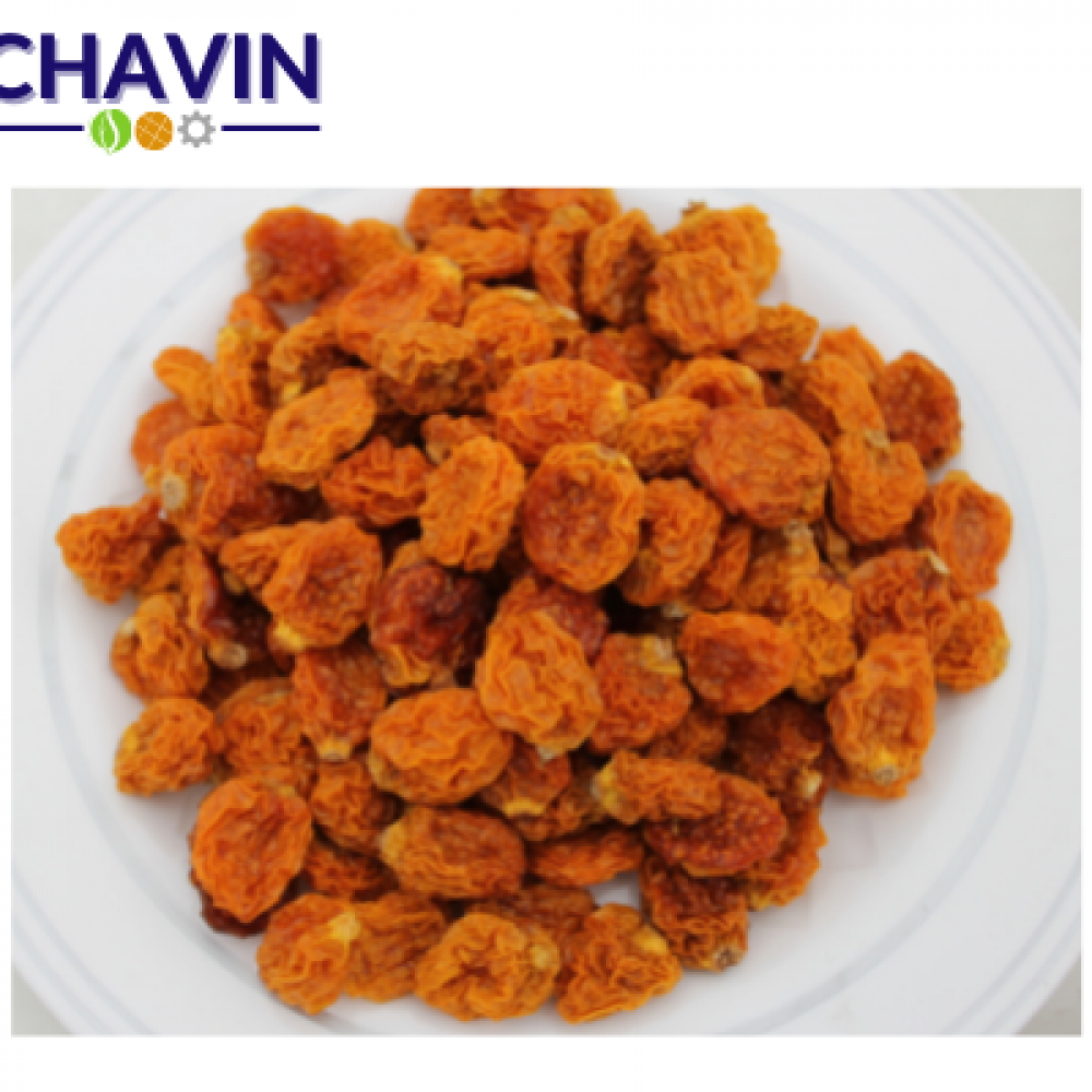 DRIED GOLDENBERRY — Casma, Peru