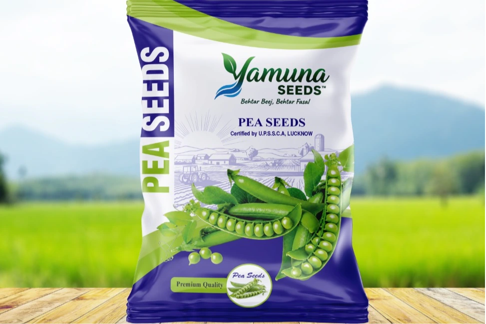 Fresh Peas — Shimla, India
