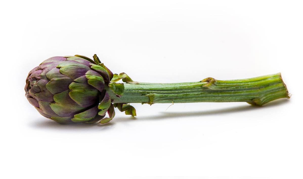 Violet Artichoke