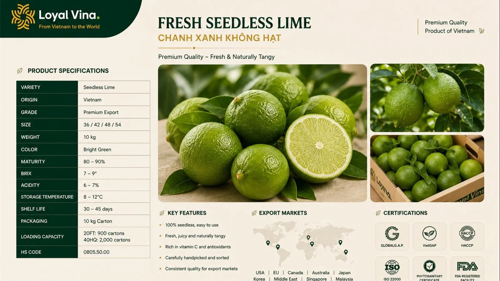 Fresh Seedless Lime 2