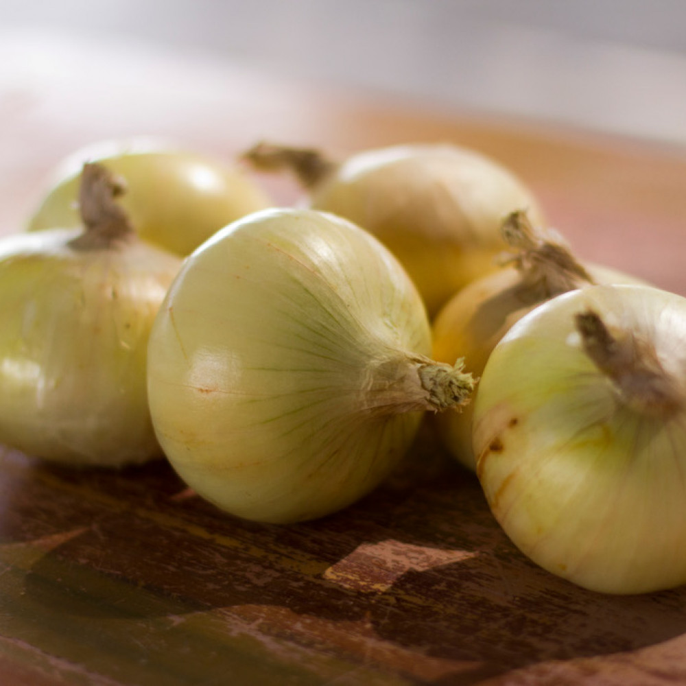 Onions — Ica, Peru