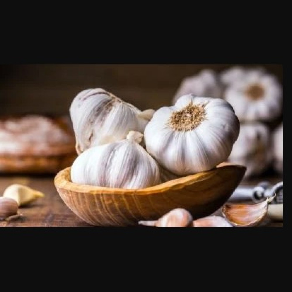 GARLIC — LIMA, Peru 2