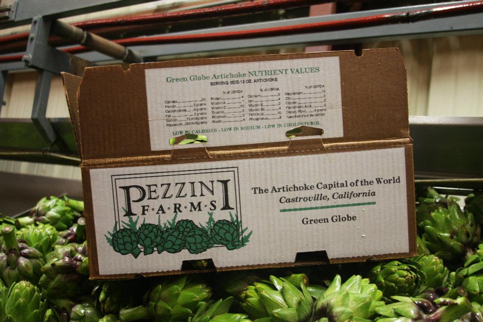 Heirloom Green Globe Artichokes