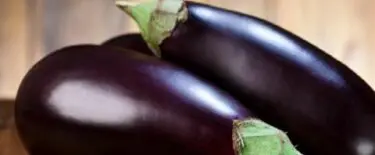Fresh Eggplant