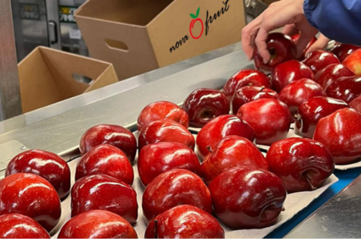 Red Delicious Apples — Turin, Italy