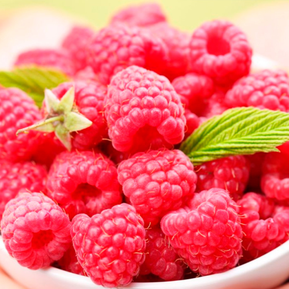 RASPBERRIES — LIMA, Peru