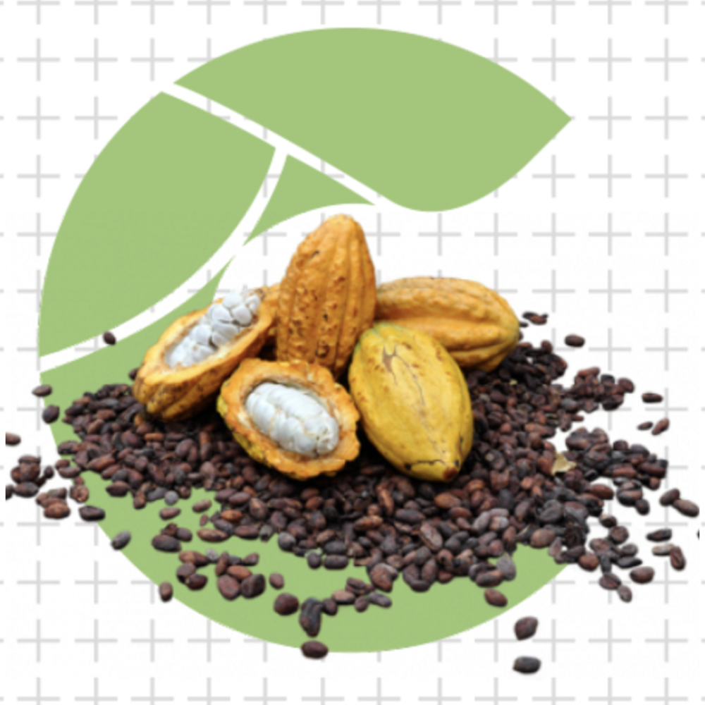 Cacao & coffee — Lima, Peru 3