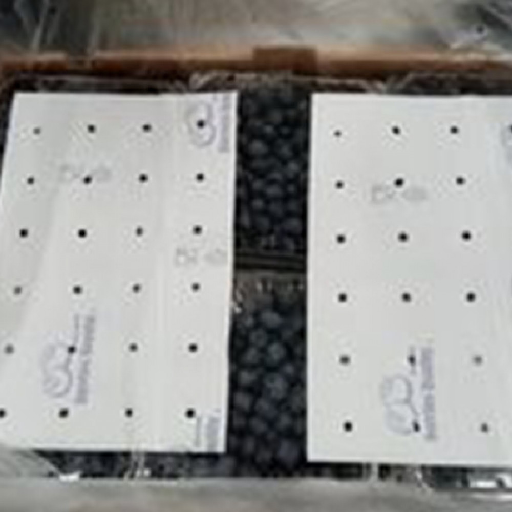 GENERADOR DE SO2 BERRIES QUALITY — LIMA, Peru 2