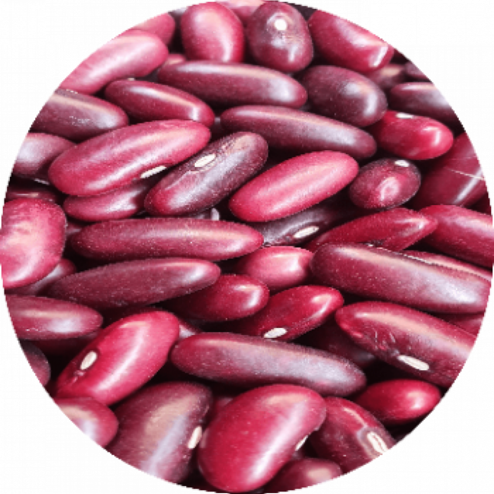 kidney bean — Chiclayo, Peru