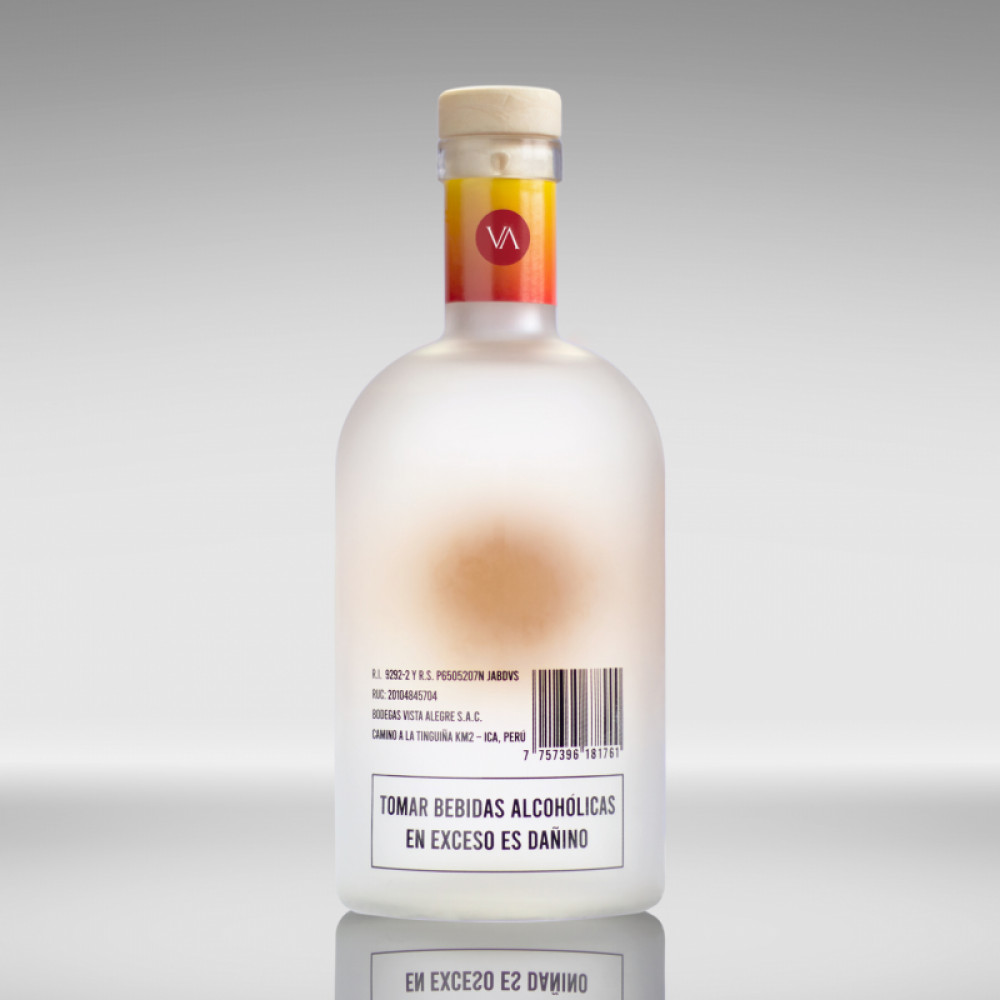 SOLDEICA PISCO — ICA, Peru 2