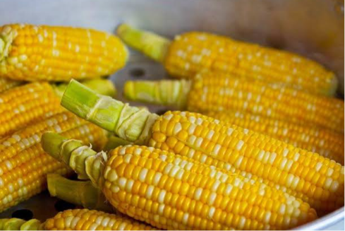 Popcorn Maize — Benin City, Nigeria