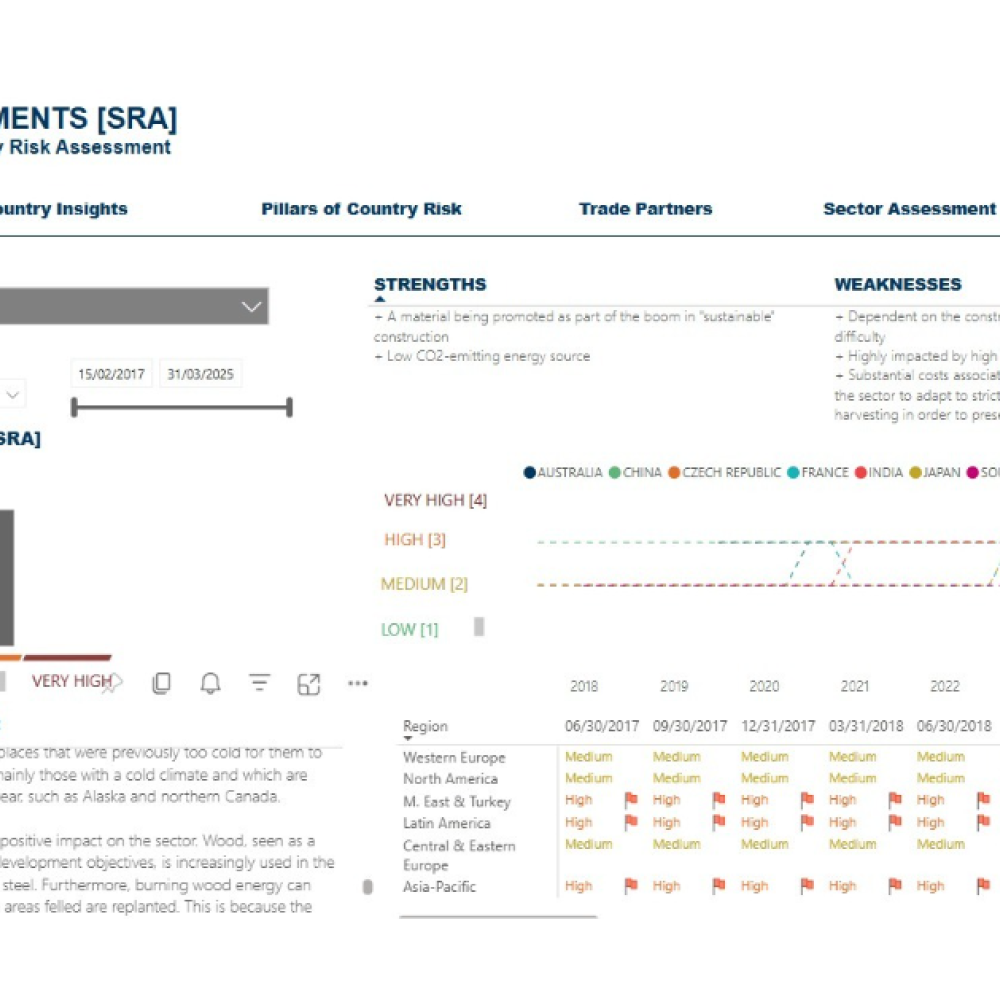 ECONOMIC INSIGHTS — LIMA, Peru
