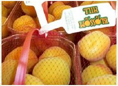 Organic Apricots 2