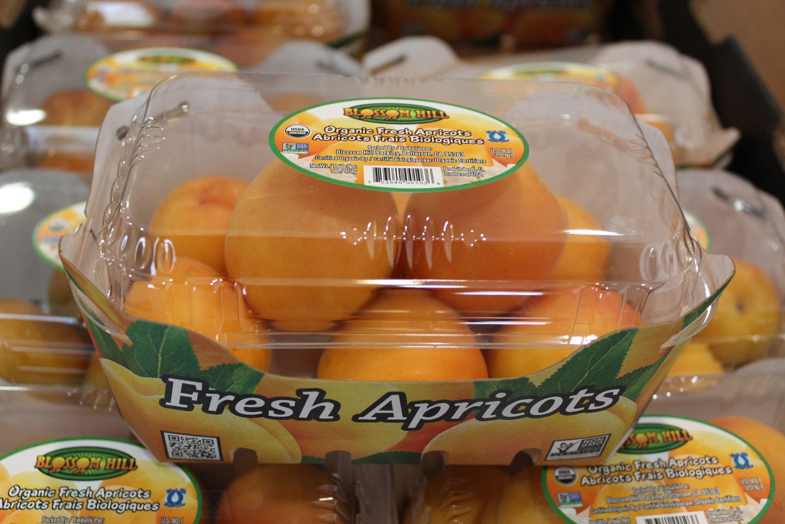 Organic Apricots