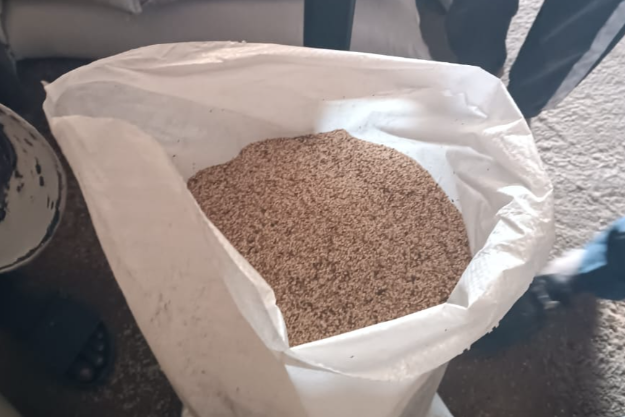 Dried Sesame — Abuja, Nigeria