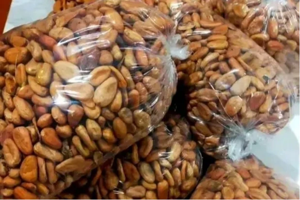 Dried Cocoa — Bundibugyo, Uganda