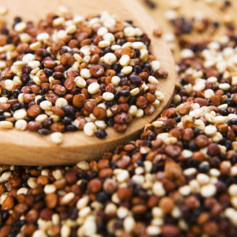 tricolor quinoa — lima, Peru