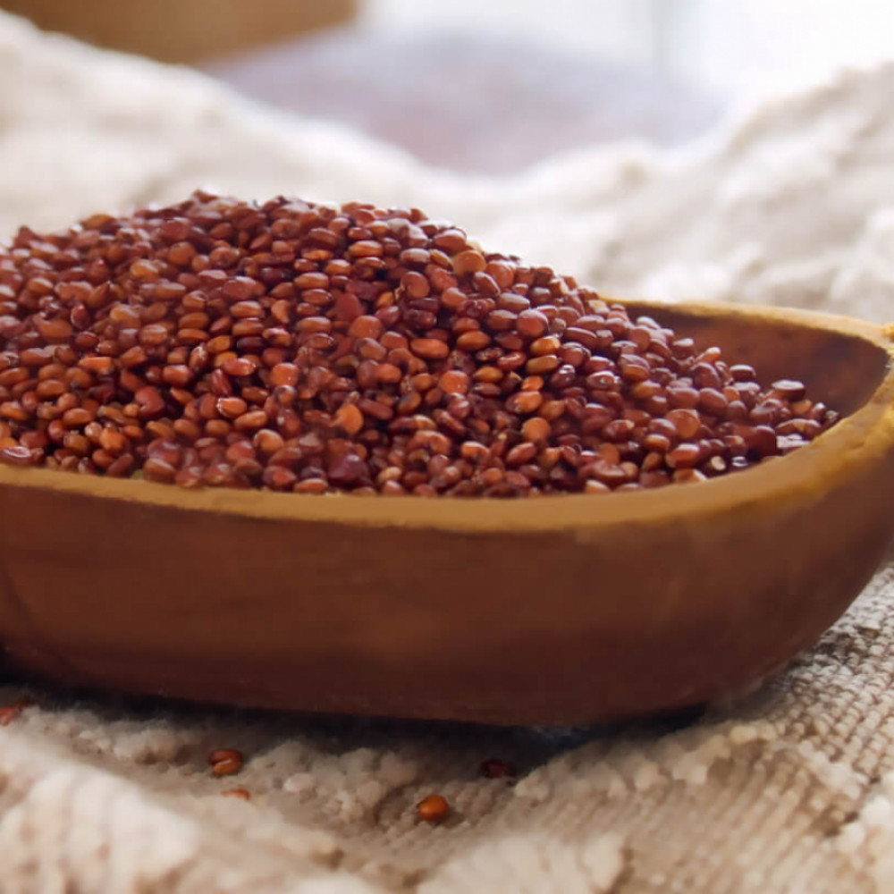 red quinoa — lima, Peru