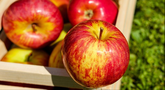 Red Delicious Apples — Chongqing, China
