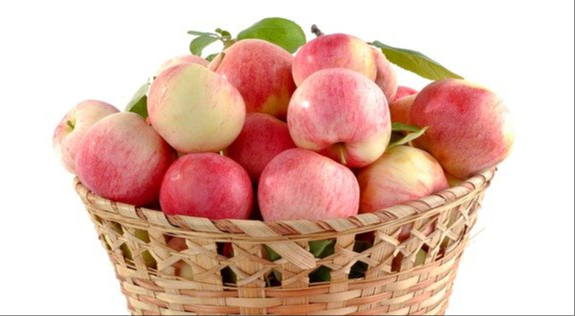 Autumn Glory Apples — Chongqing, China