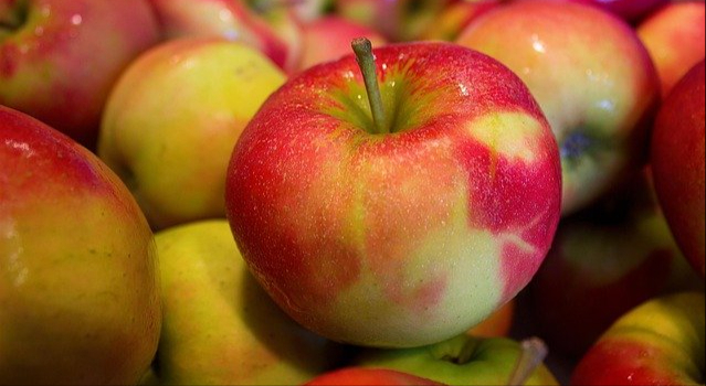 Huaniu Apples — Chongqing, China